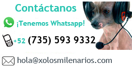 contactanos